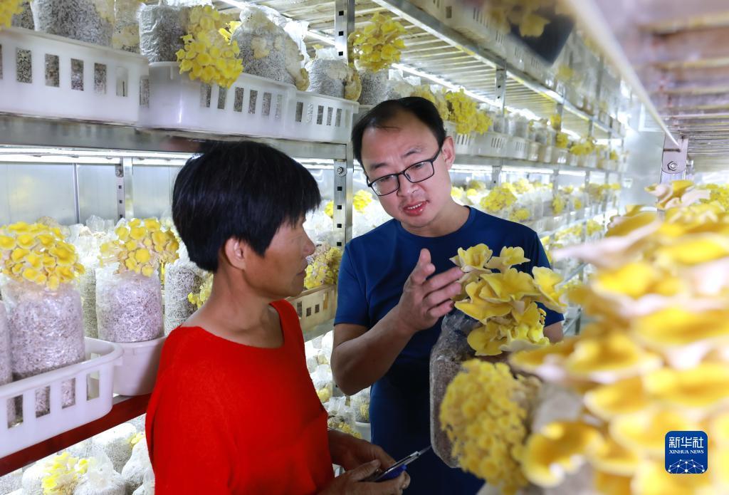 快乐牛官网公告